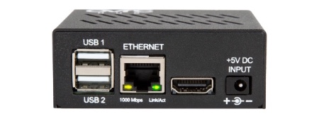 Hub Port Detail - Gigabit Ethernet Port